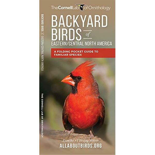 Waterford Press East Backyard Birds Guide WFP1620052426